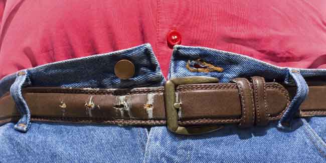 Dad's Obesity Inherited by Generations